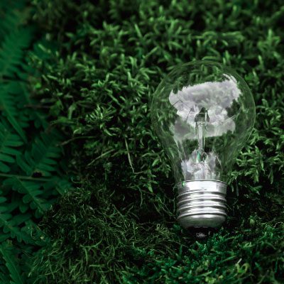 Energy Saving Lightbulb on grass