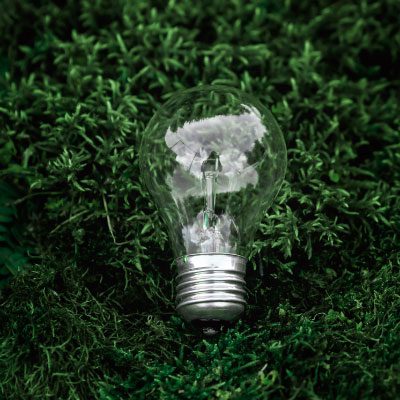 Energy Saving Lightbulb on Grass